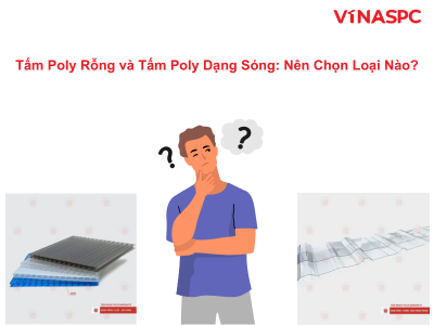 tam-poly-rong-va-tam-poly-dang-song-nen-chon-loai-nao