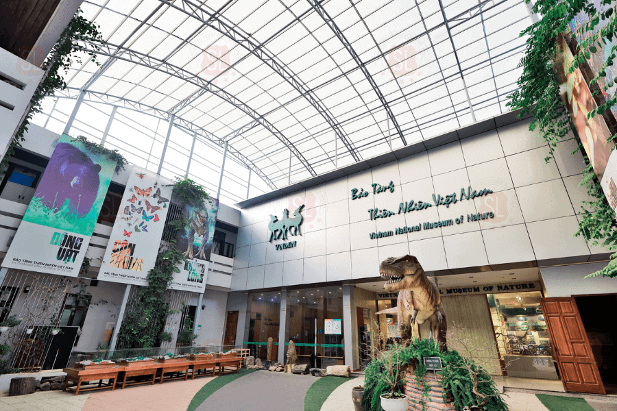 Bảo tàng Thiên nhiên Việt Nam-1